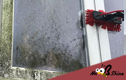 a cleaner algae covered window in bedford bedfordshire